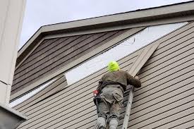 Best Siding Painting and Refinishing  in Oakland, IA